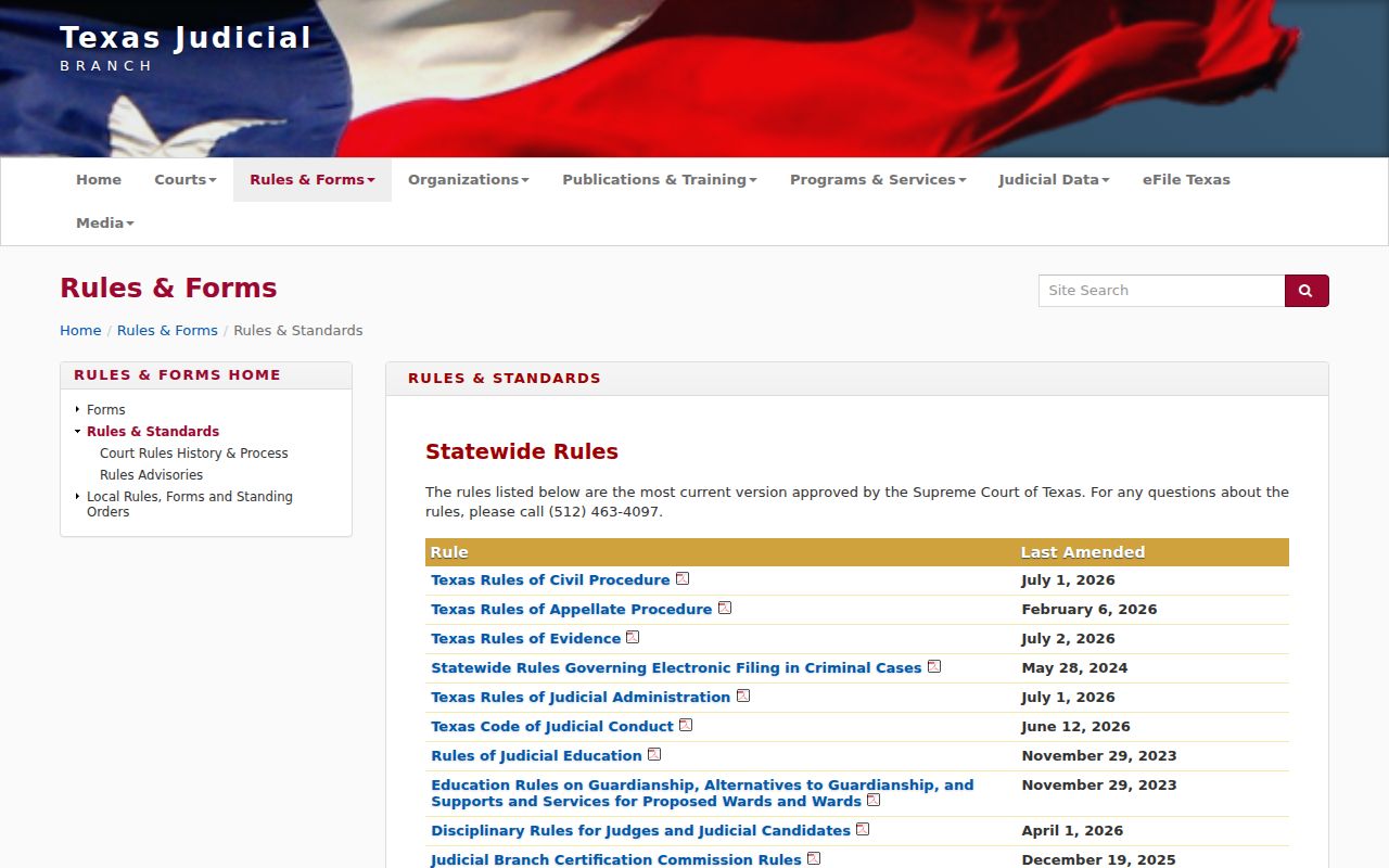 Texas court rules and standards page supporting La Grulla court record access
