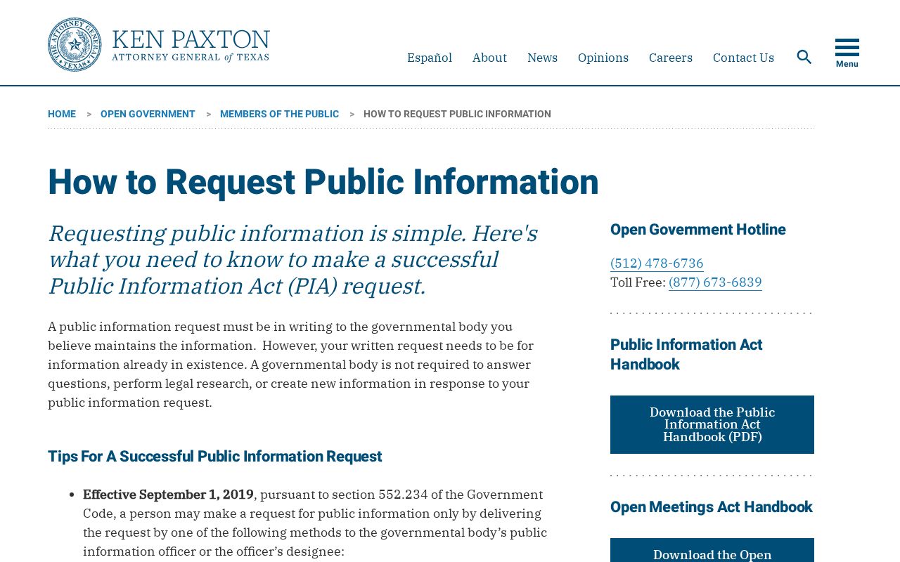 Roma record check Texas public information request instructions