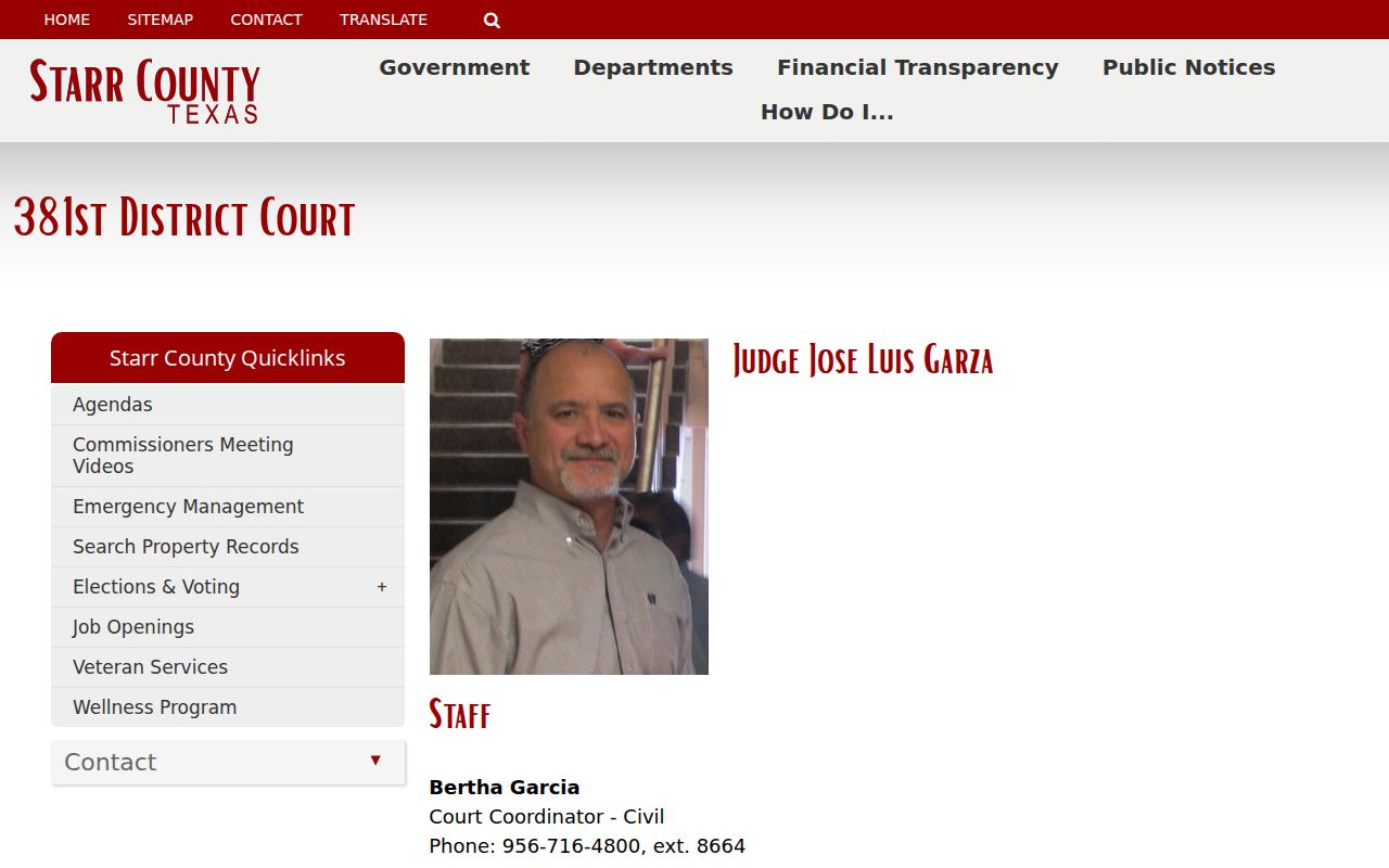 Starr County criminal court case page for the 381st District Court